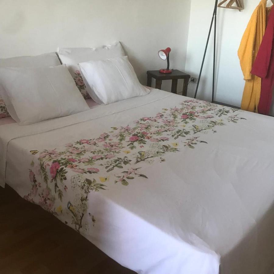 Tenuta Palladini 5 Chilometri Da Porto Cesario レヴェラーノ エクステリア 写真